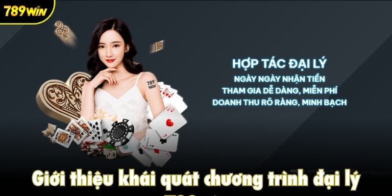 Giới thiệu khái quát chương trình đại lý 789win