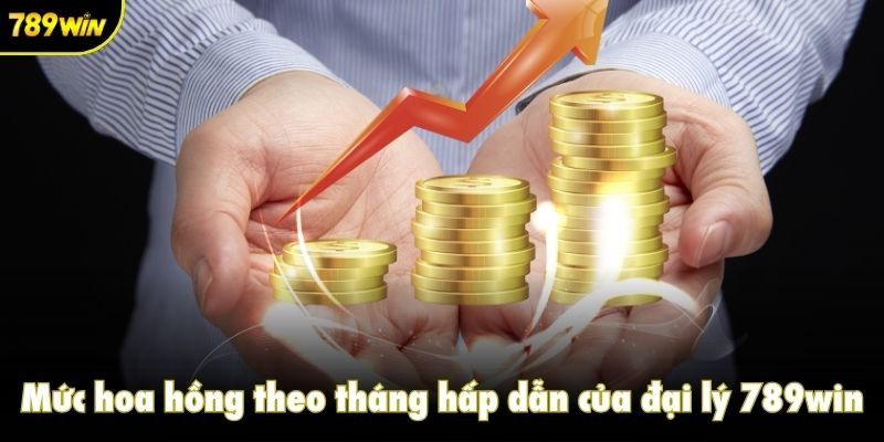 Mức hoa hồng theo tháng hấp dẫn của đại lý 789win