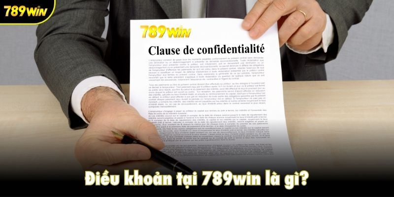 Điều khoản tại 789win