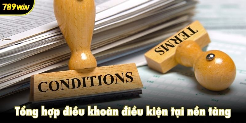Tổng hợp điều khoản điều kiện tại nền tảng của chúng tôi