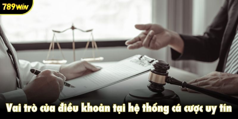 Vai trò của điều khoản tại hệ thống cá cược uy tín