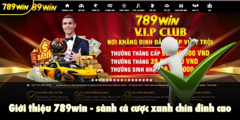 Giới thiệu 789win - sảnh cá cược xanh chín đỉnh cao