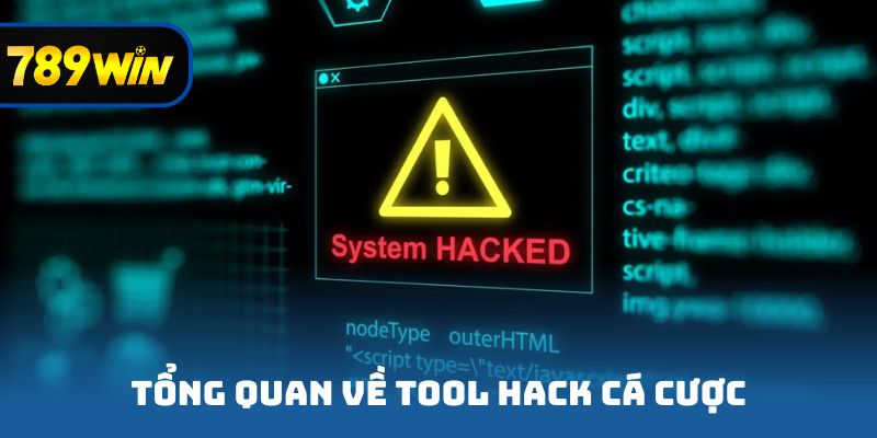 Tổng quan về tool hack cá cược